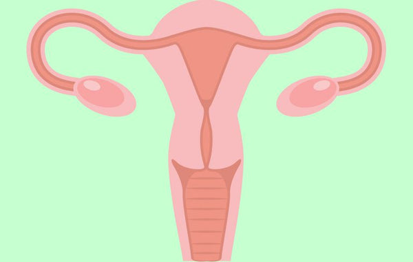 7 Lifestyle Changes that can Decrease the Risk of Ovarian Cancer